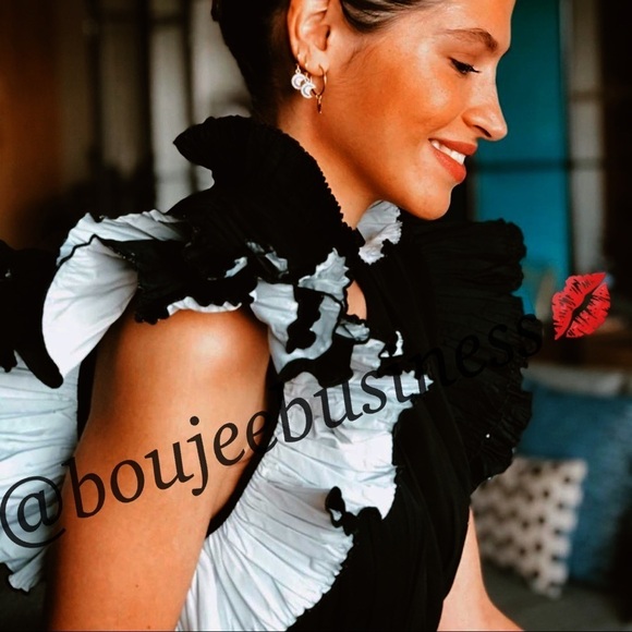 ZARA Ruffled Sleeve Top - Picture 2 of 6